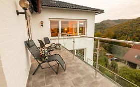 Harz Living - Ferienwohnungen mit Traumblick